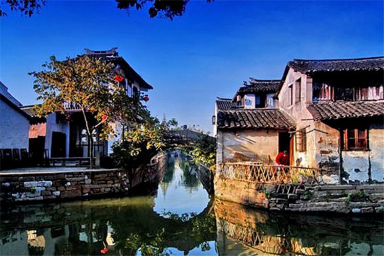 悲伤兔大冒险